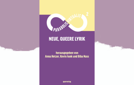 Anna Hetzer, Kevin Junk, Biba Nass (Hrsg.) – Parabolis Virtualis 2
